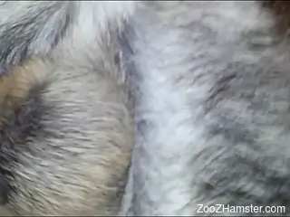 Fine ass woman shoves furry cock down the pussy in raw XXX