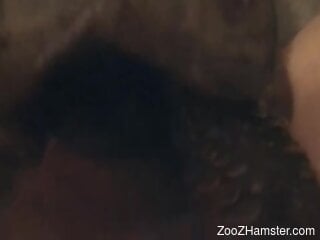 Needy man enjoys how the tortoise tries to engulf his cock