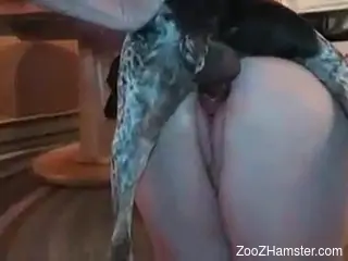 Sexy babes throat the dog dick dry after the mutt fucks them