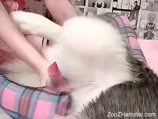 Nude model with nice ass plays with the dog in foot fetish scenes