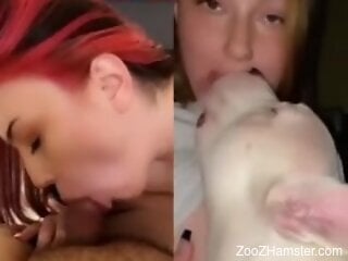 Redhead gives blowjob to a dog and gets filmed fucking