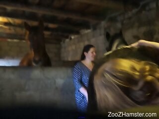 Slender amateur babe sucks the horse's cock until the last drops