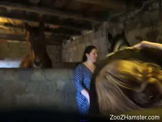 Slender amateur babe sucks the horse's cock until the last drops