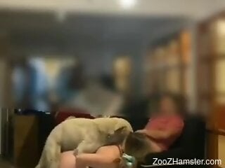 Dog fucks naked blonde and comes on her fine ass