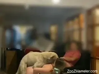 Dog fucks naked blonde and comes on her fine ass