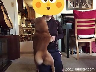 Curious man wants to see how it feels to put the dog dick in h...