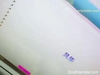 Hot cam girl plays naughty in elegant zoophilia kinks