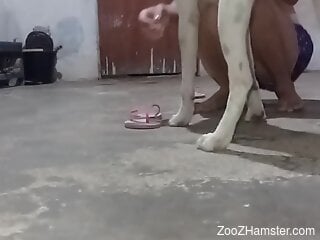 Skinny slut shoves the dog dick right in her mouth