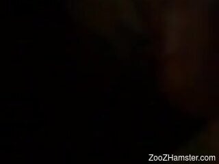 Busty brunette loves oral zoo sex very much