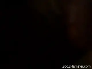 Busty brunette loves oral zoo sex very much
