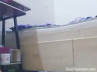 Naked amateur tapes herself fooling around with the dog's cock