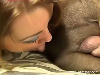 Cam babe combines nude intimacy with dog porn