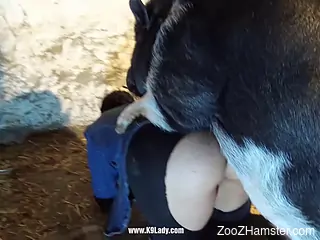 Aroused woman gets fitted with pig cock in rough scenes