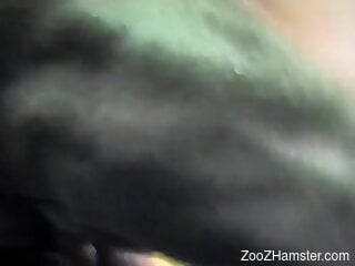 Skinny blonde goes loud and slutty with her big dog