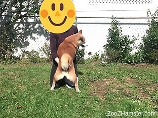 Clothed woman fools around with her dog in backyard kinks