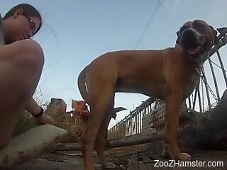 Aroused mature tries dog dick in every hole