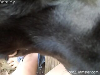 Sexy woman allows curious dog full access to lick her cunt