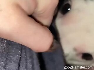 Horny man fulfills his zoophilia needs with the dog's help