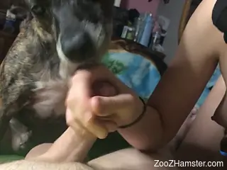 Slut wearing balaclava is having zoo sex