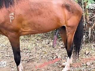 Two masked whores are having oral bestiality