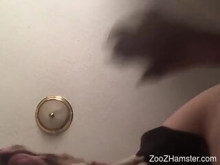 Filthy housewife is having kinky bestiality