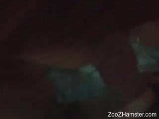 Naked man and his wife share the dog dick in homemade kinks