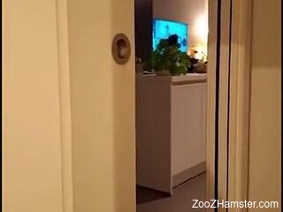 Dog licks woman's wet pussy until she comes in insane manners