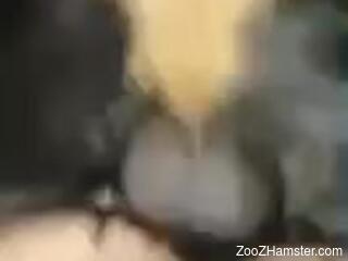 Energized woman lets furry dog hump her ass in sexy scenes