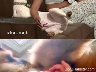 Amateur woman craves her dog's penis for some naughty fun