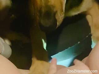 Nude woman keeps her legs spread for the dog to lick her pussy