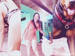 Sexy female feels the dog's entire cock hard hammering her muff