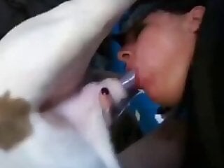 Video ZZZ Site