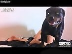 VideozzzSite