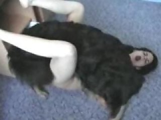 Zoo porn and zoo sex video
