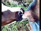 Real Zoo Sex