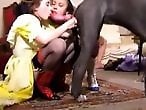 Video ZZZ Site