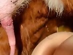 Red Zoo Tube