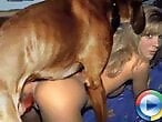 VideozzzSite