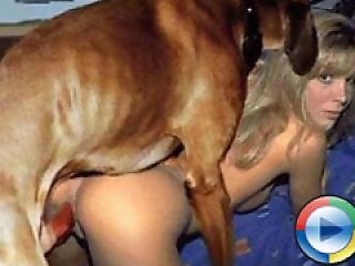 DogSex