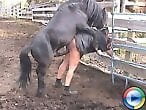Zoo Sex Pink