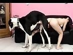 Real Zoo Sex