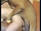 Zoo porn and zoo sex video