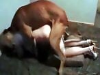 Free zoo porn tube