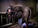 Zoo Phil