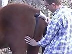 Animal porn and zoo sex