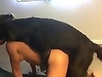 FreePornZoo