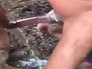 FreePornZoo