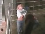 XXX bestiality zoo porn