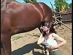 Real Zoo Sex