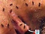 Zoo porn and zoo sex video